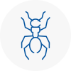Ant Removals In Rainford