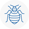 Bed Bug Extermination In Rainford