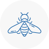 Bee Nest Removal Rainford