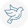 Bird Prevention Rainford