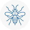 Rainford Hornet Nest Removals