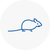 Mice Exterminators In Rainford