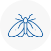 Moth Control Specialists In Rainford