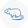 Rat Control Rainford
