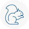 Rainford Rodent Removals